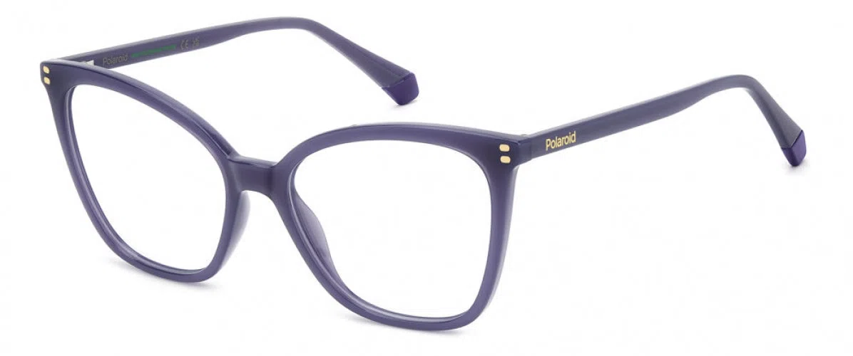 Polaroid Core PLDD579 Eyeglasses